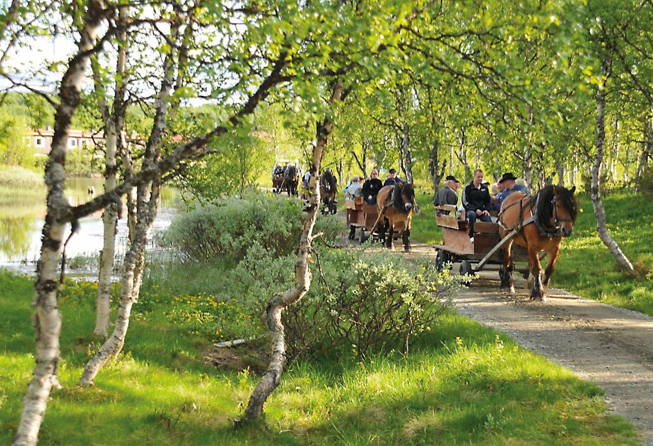 Utflukt til Langsvola og Elden spelet
